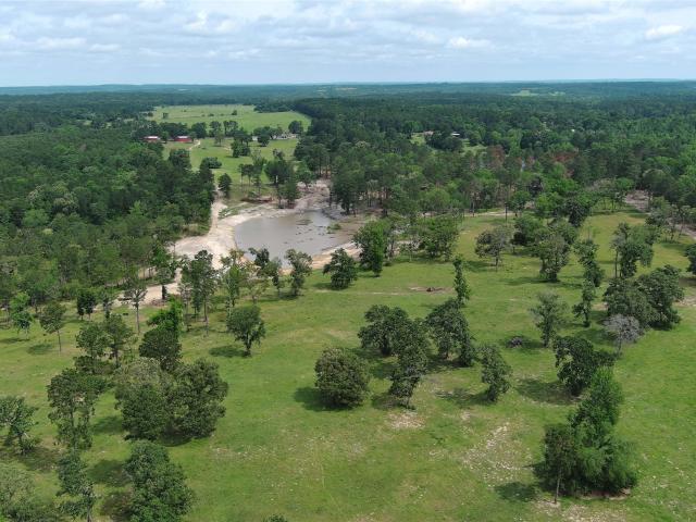 Farm for sale in Grapeland, Texas