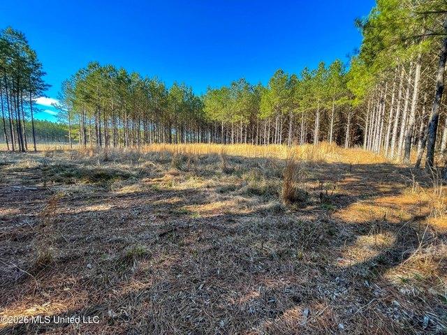 Land for sale in Morton, Mississippi