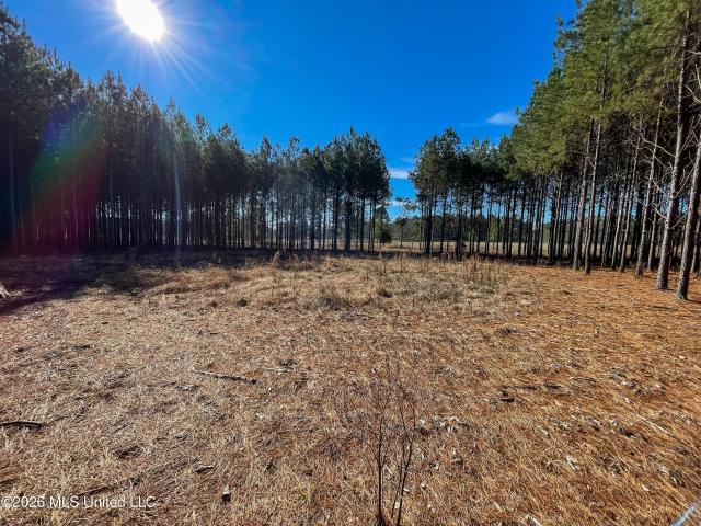 Land for sale in Morton, Mississippi