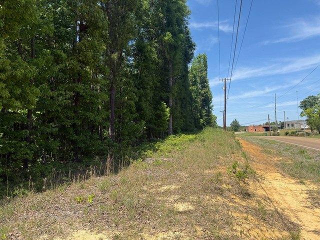 Land for sale in Winston, Mississippi