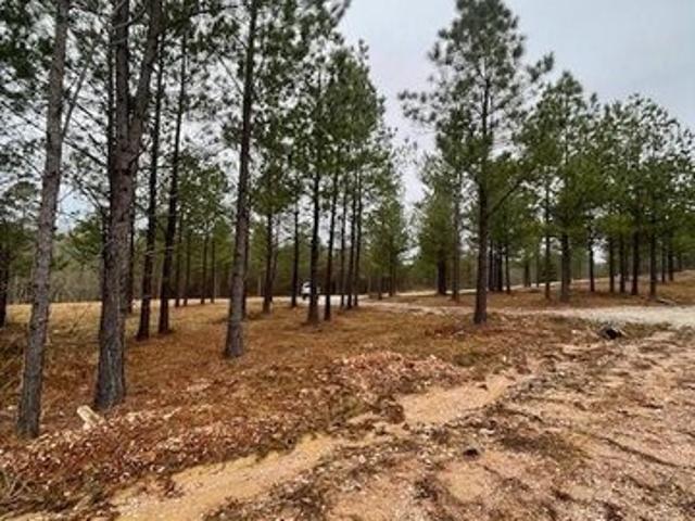 Land for sale in Broken Bow, Oklahoma
