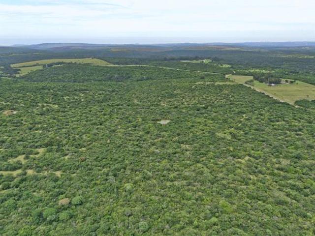 Land for sale in Amatola View, Bhisho