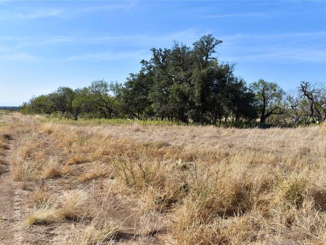 Land for sale in Brady, Texas