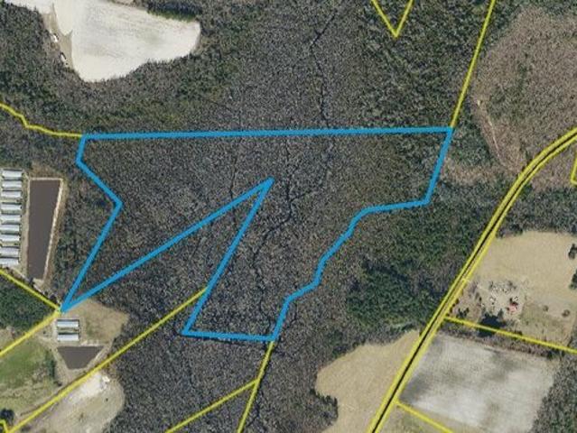Land for sale in Elizabethtown, Bladen County