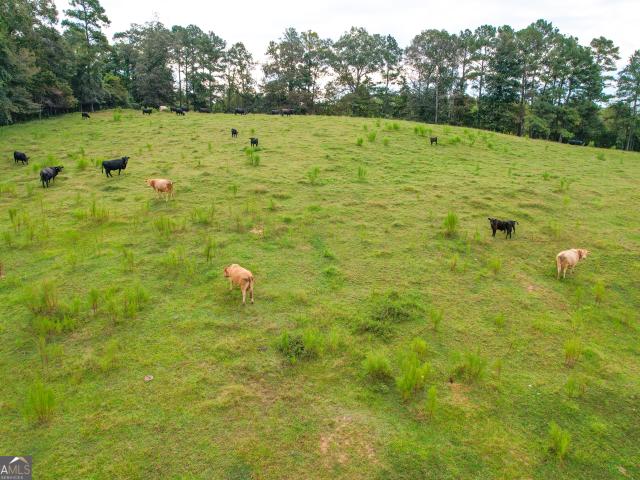 Land for sale in Haralson, Georgia
