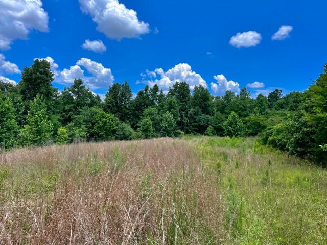 Land for sale in Florence, Alabama