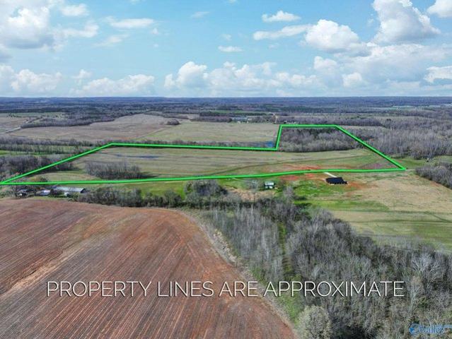 Land for sale in Alabama