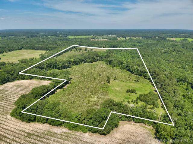 Land for sale in Geneva, Alabama
