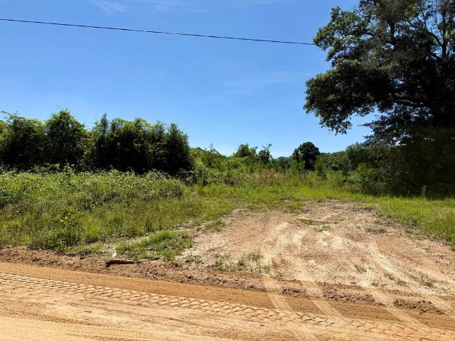 Land for sale in Geneva, Alabama