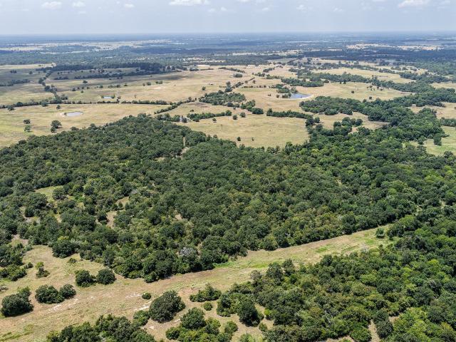 Land for sale in Madisonville, Texas
