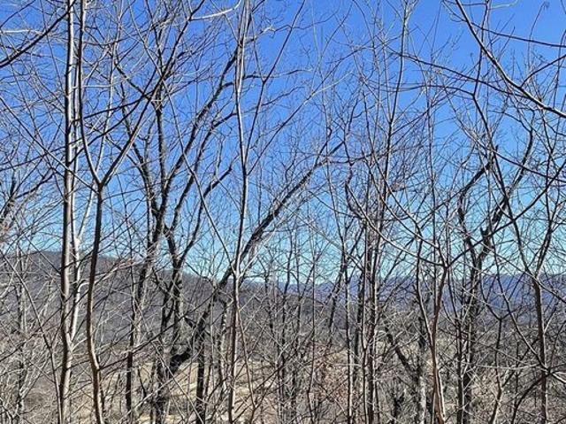 Land for sale in Hayesville, North Carolina