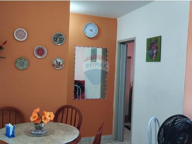 Apartamento aluguel em Região Geográfica Imediata do Recife, Região Metropolitana do Recife