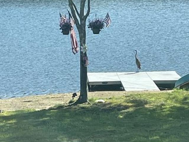 House for sale in Ashford, Connecticut