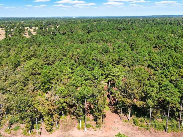 Land for sale in Leon, Texas