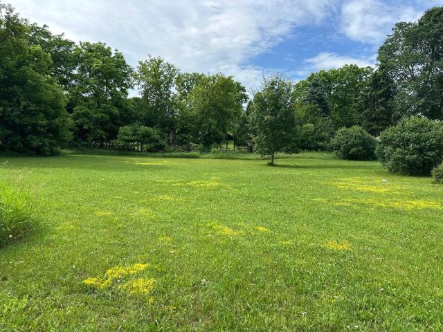 Commercial for sale in Maple City, Michigan