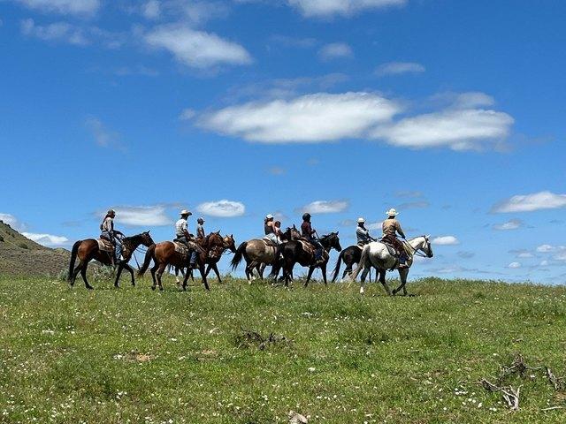 Farm for sale in Montana