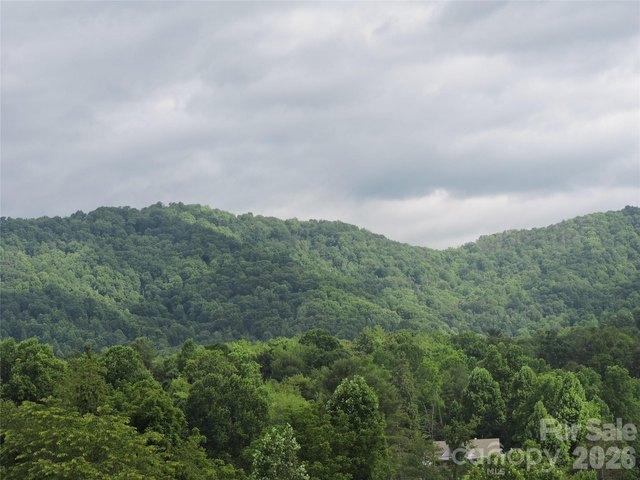 Land for sale in Mars Hill, North Carolina