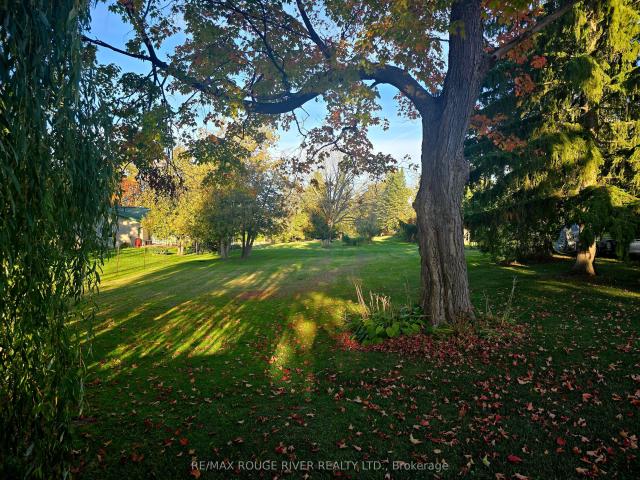 Land for sale in Kawartha Lakes, Ontario