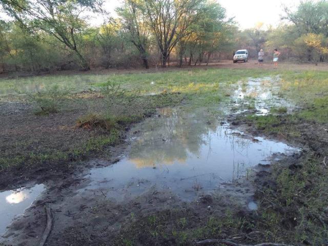 Farm for sale in Limpopo