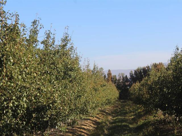 Farm for sale in Western Cape