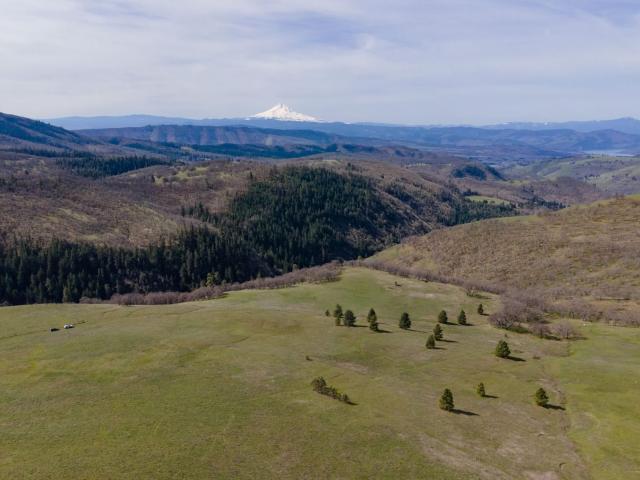 Property for sale in Lyle, Washington
