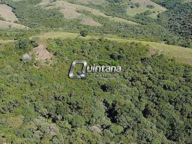 Sítio e chácara venda em Região Geográfica Imediata de São Gabriel - Caçapava do Sul, Santana da Boa Vista