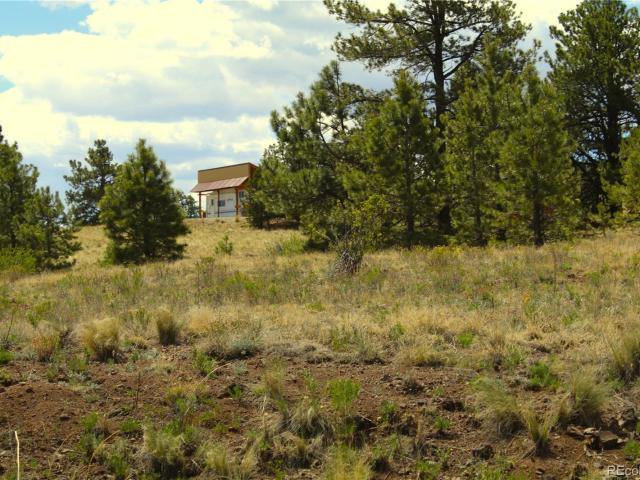 Land for sale in Hartsel, Colorado