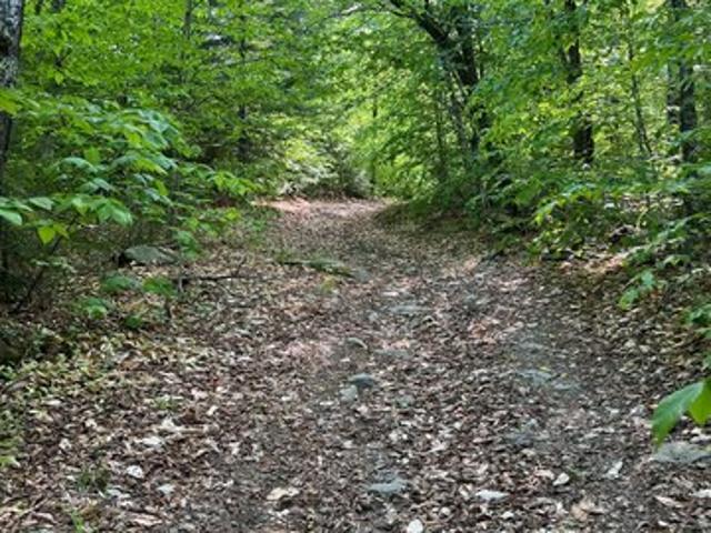 Land for sale in Linneus, Maine