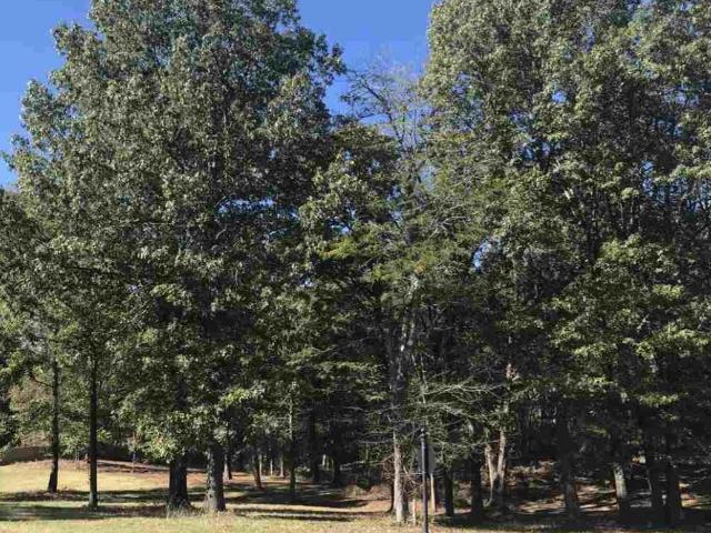 Land for sale in Tennessee