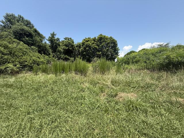 Land for sale in Tennessee