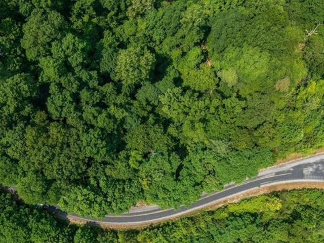 Land for sale in Tennessee