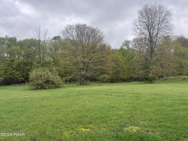 Land for sale in Equinunk, Pennsylvania