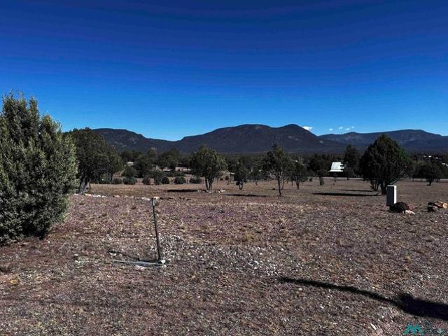 Land for sale in Catron, New Mexico