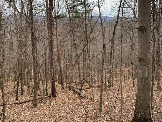 Land for sale in Virginia