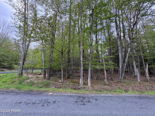 Land for sale in Hamlin, Pennsylvania