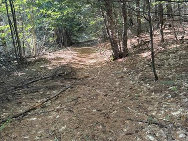 Land for sale in New Hampshire