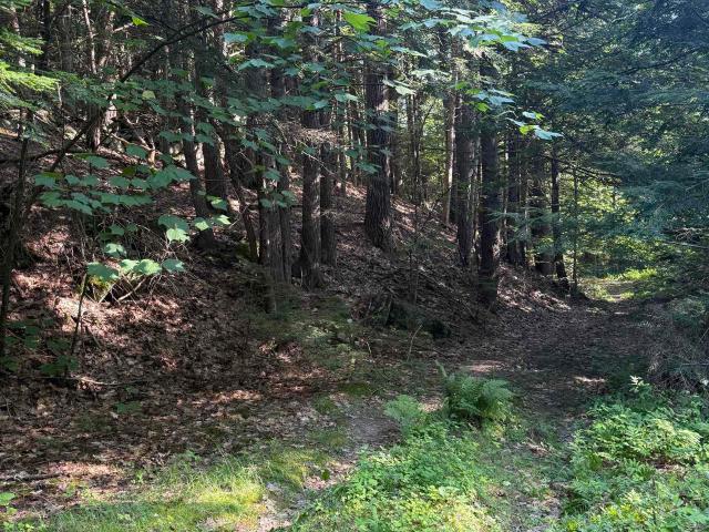 Land for sale in New Hampshire