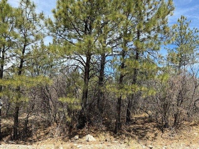 Land for sale in Timberon, New Mexico