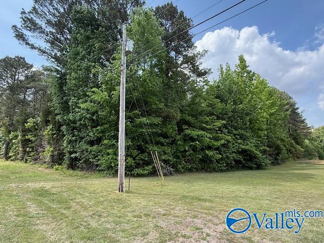 Land for sale in Somerville, Alabama