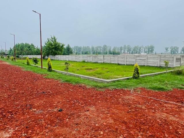 Land for sale in Amroha, Arunachal Pradesh