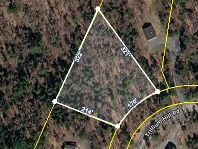 Land for sale in Pittsfield, Rutland County