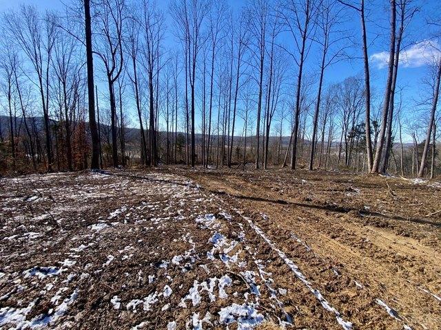 Land for sale in Manchester, Ohio