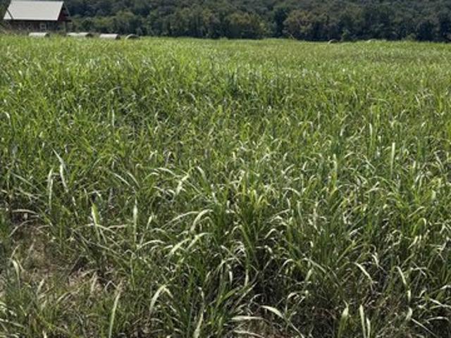 Land for sale in Ark