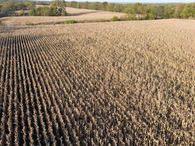 Farm for sale in Davis, Iowa