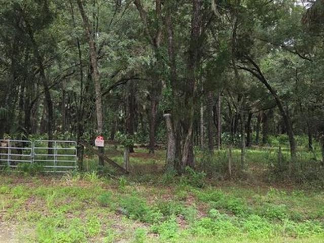 Land for sale in Chiefland, Florida