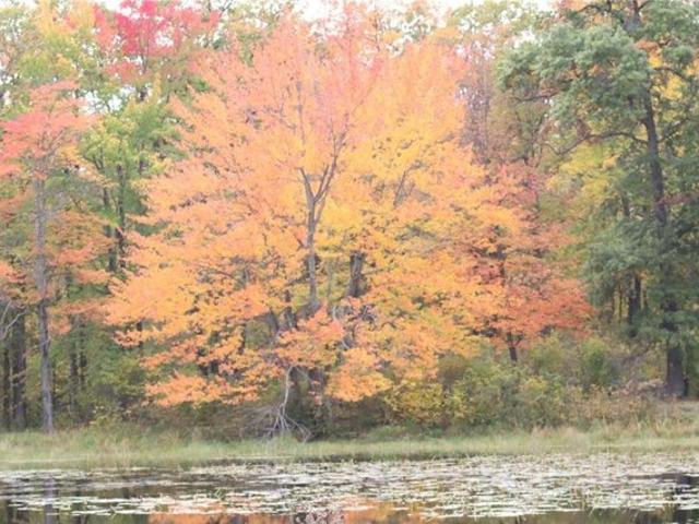 Land for sale in Pequot Lakes, Minnesota