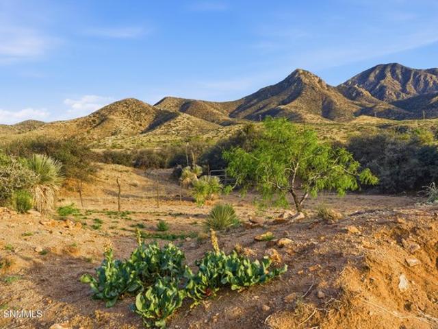 Land for sale in Dona Ana, New Mexico