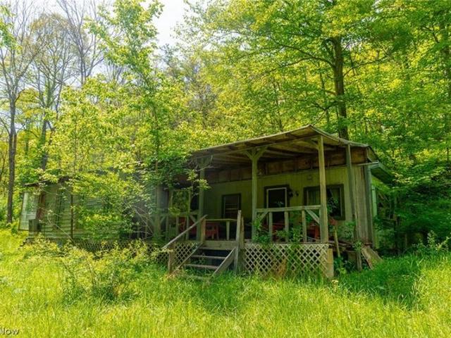 Land for sale in Blue Rock, Ohio