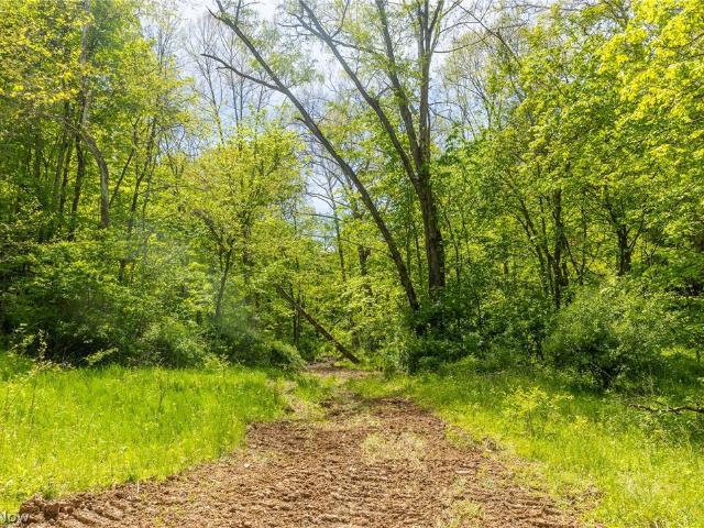 Land for sale in Blue Rock, Ohio