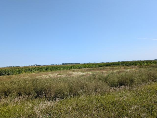Land for sale in Chokio, Minnesota